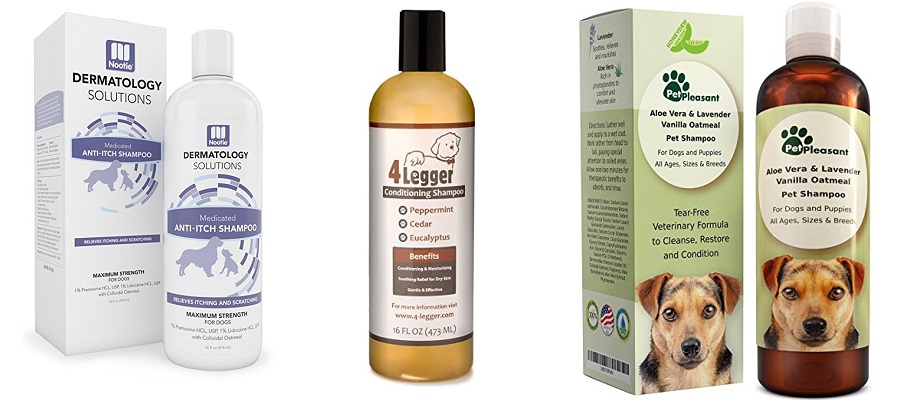 Antifungal Shampoos for Dogs