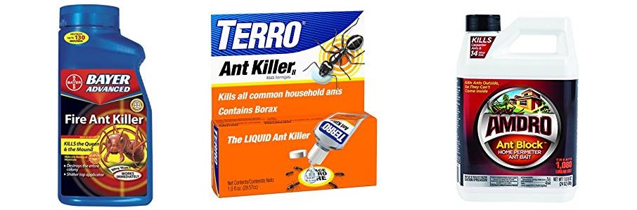 Best Ant Killers