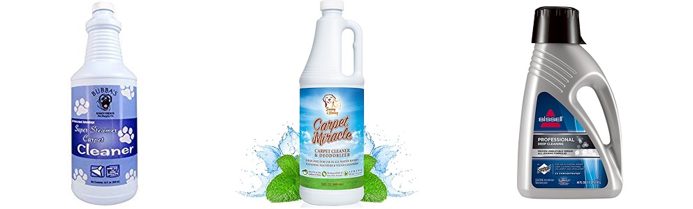 Best Shampoo for Carpet with Pet Stains